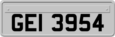 GEI3954