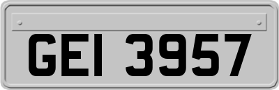 GEI3957