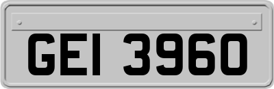 GEI3960