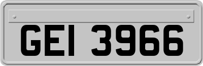 GEI3966