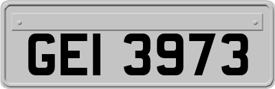 GEI3973