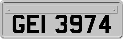 GEI3974