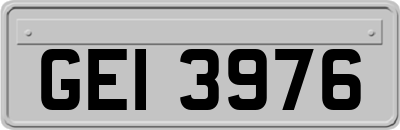GEI3976