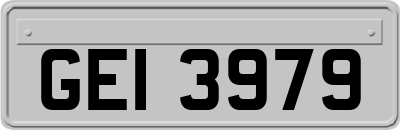 GEI3979
