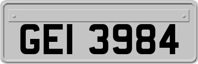 GEI3984