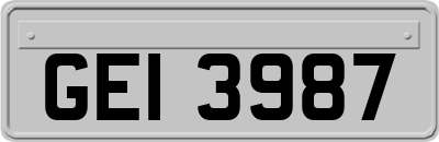 GEI3987