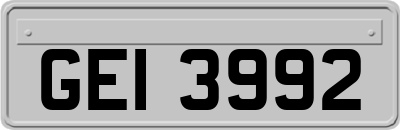 GEI3992