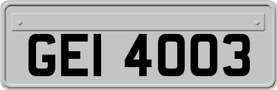 GEI4003