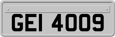 GEI4009