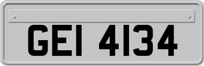 GEI4134
