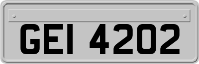 GEI4202