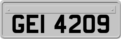 GEI4209