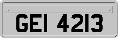 GEI4213
