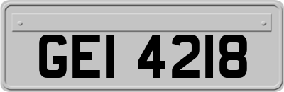 GEI4218