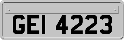 GEI4223