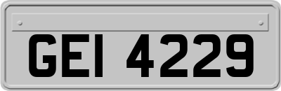 GEI4229