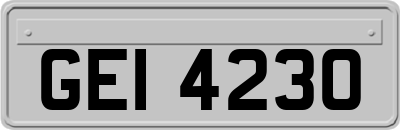 GEI4230