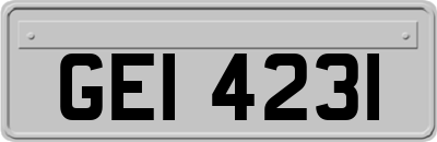 GEI4231