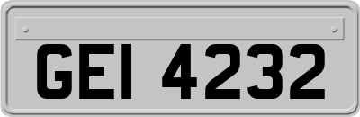 GEI4232