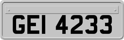 GEI4233