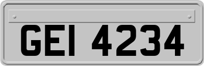 GEI4234