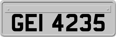 GEI4235