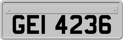 GEI4236