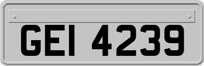 GEI4239