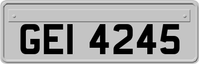 GEI4245