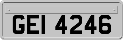 GEI4246