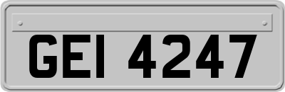 GEI4247