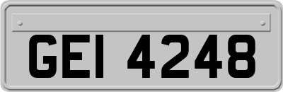 GEI4248