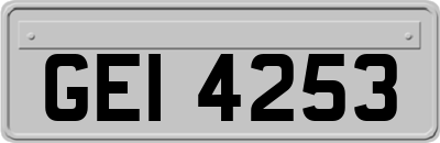 GEI4253