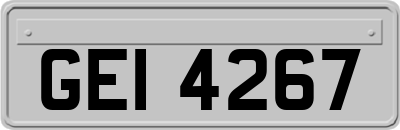 GEI4267