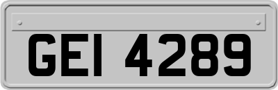 GEI4289