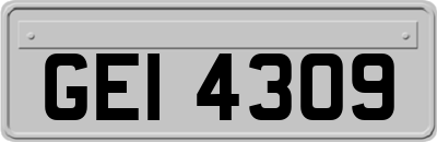GEI4309