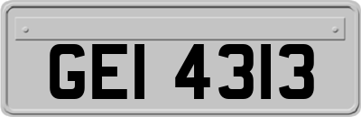 GEI4313