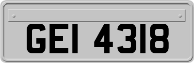 GEI4318