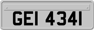 GEI4341