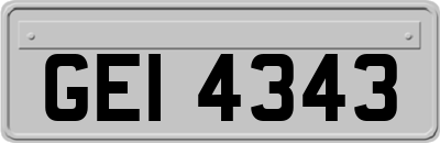 GEI4343