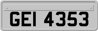 GEI4353
