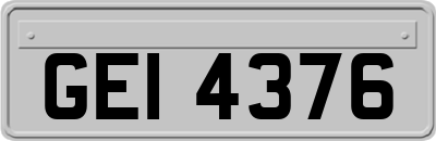 GEI4376