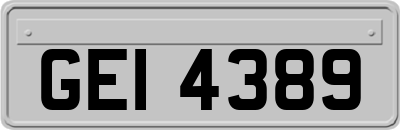 GEI4389