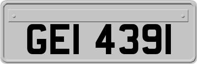GEI4391