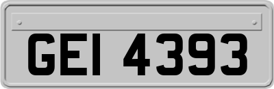GEI4393