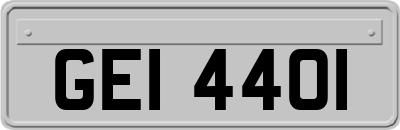 GEI4401