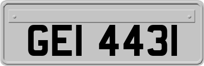 GEI4431