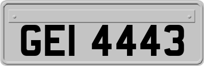 GEI4443