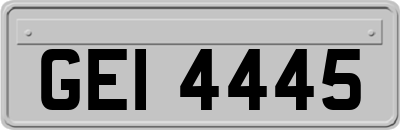 GEI4445