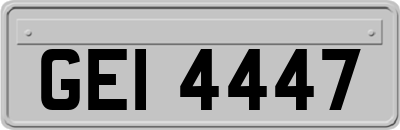 GEI4447